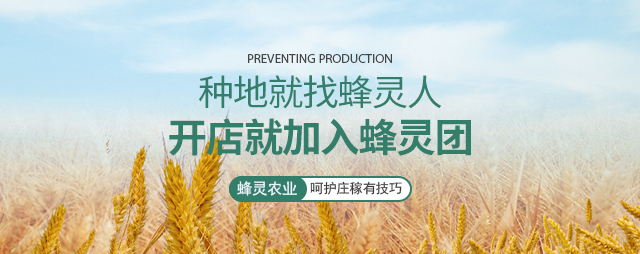 蜂灵穗肥