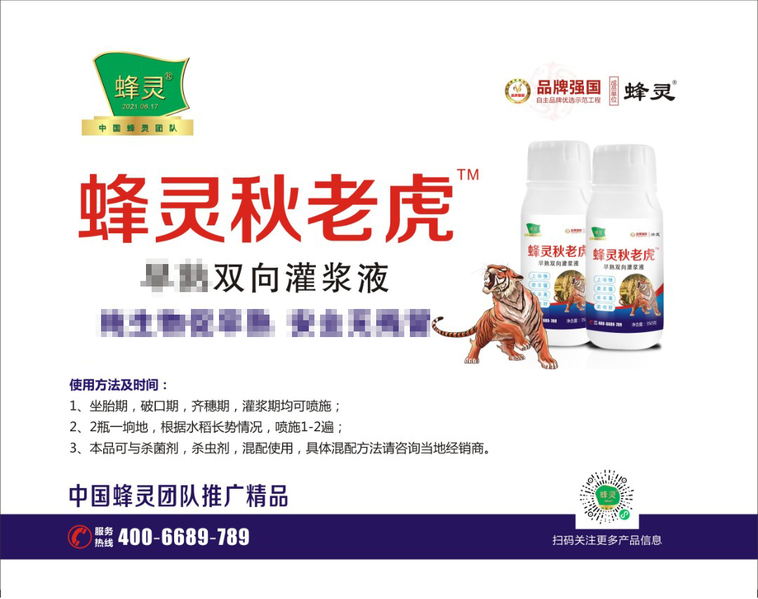 蜂灵秋老虎