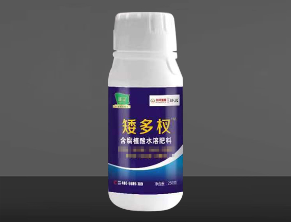 蜂灵矮多杈
